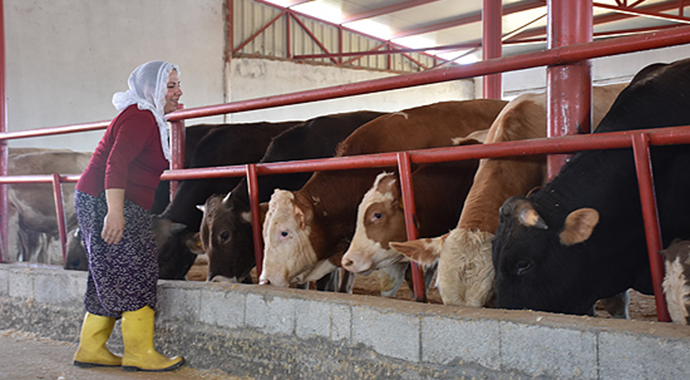 Ev hanımlığından Hanımağalığa Ev hanımlığından Hanımağalığa