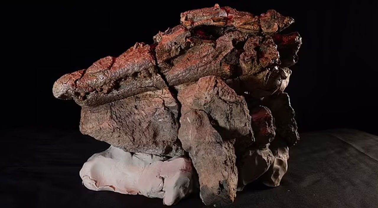 95 milyon yıllık timsahın karnından dinozor kalıntıları çıktı