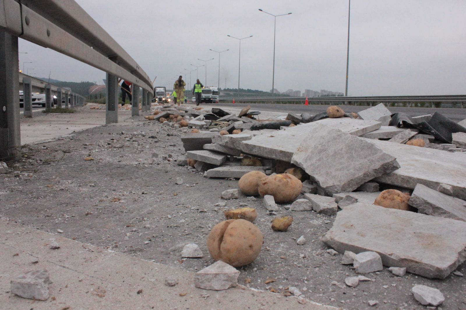 Kuzey Marmara otoyolunda yanan TIR küle döndü