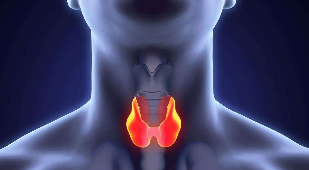 Birçok kişide görülüyor, belirti vermeden sinsice ilerliyor:  ‘Az yiyorum, ama yine kilo alıyorum’ diyorsanız…