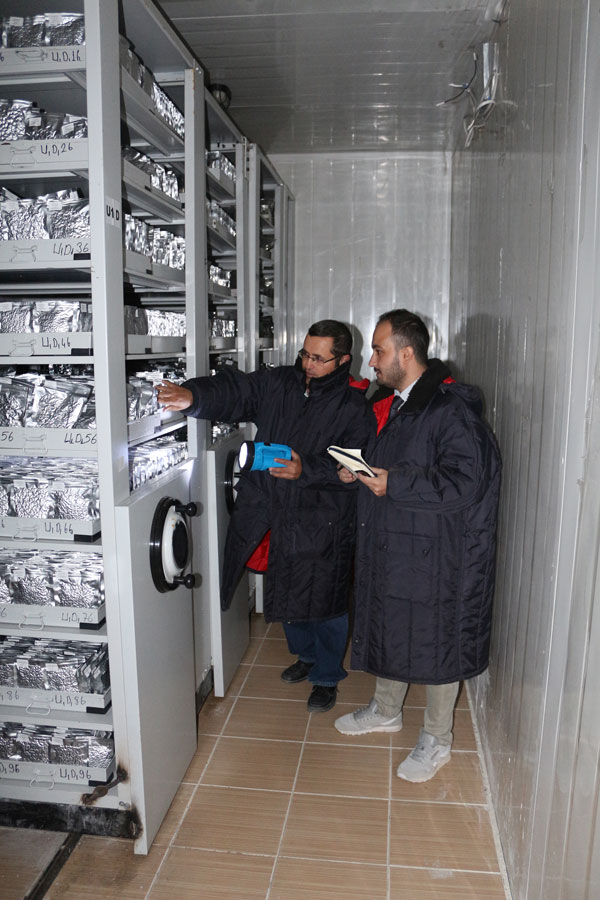 Tohumların kozmik odası