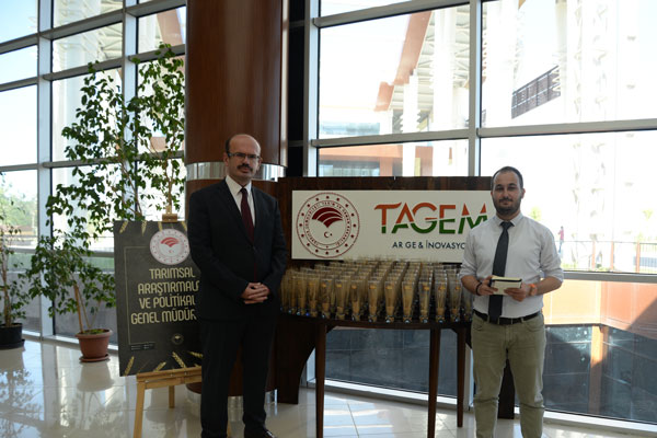 Tohumların kozmik odası