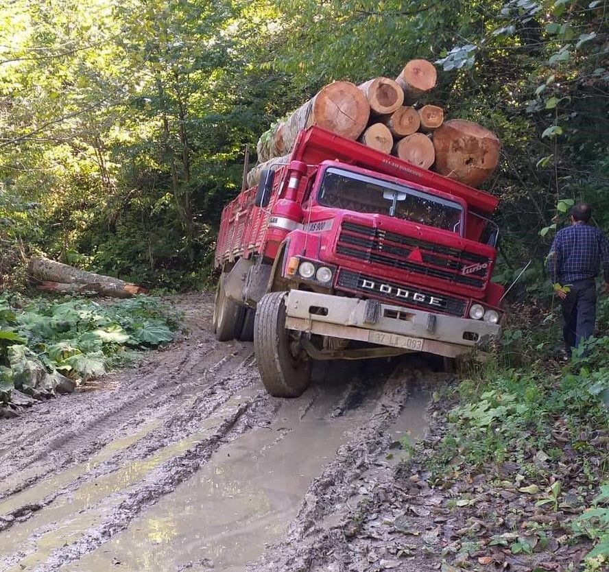 Tomruk yüklü kamyon çamurlu yolda yan yattı