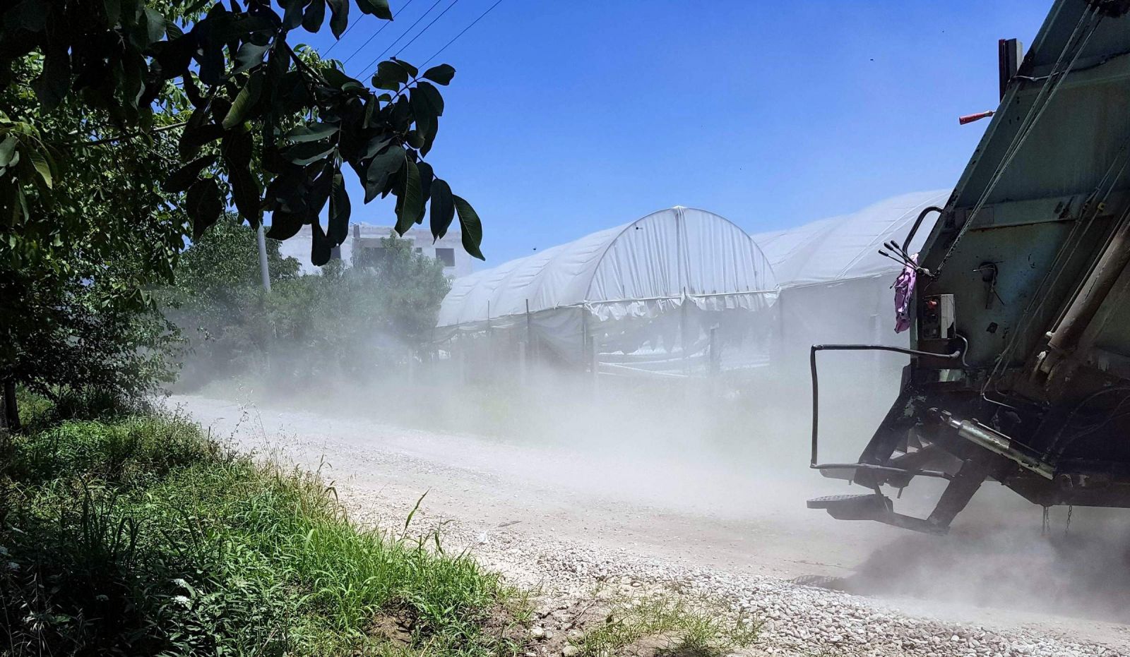 Tozla baş edemeyince seradaki domateslerini söktü