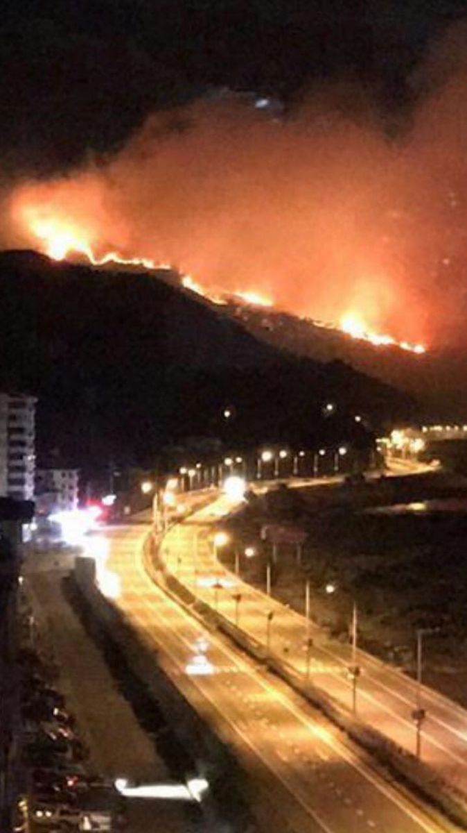 Trabzon Sürmene'de orman yangını