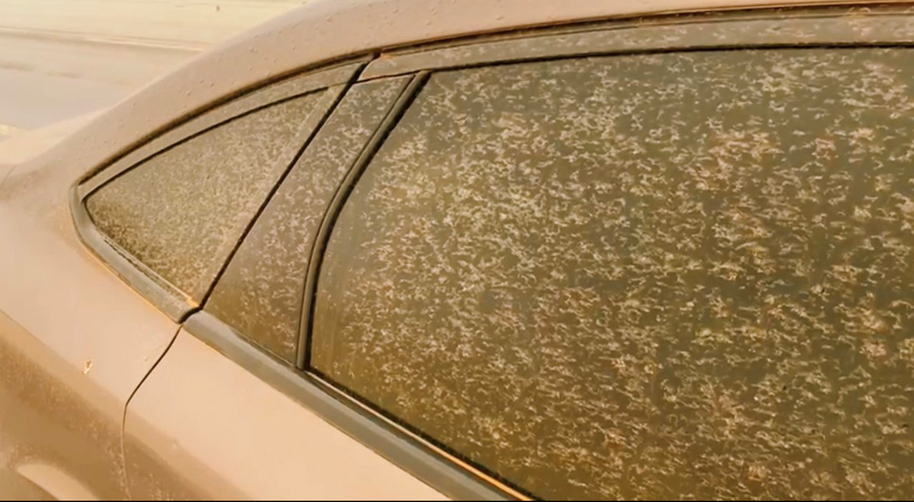 Toz fırtınlarında 'ölümcül' tehlike! Uzmanlar uyarıyor: Evden çıkmayın