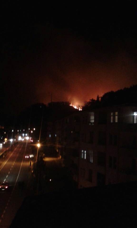 Trabzon Sürmene'de orman yangını