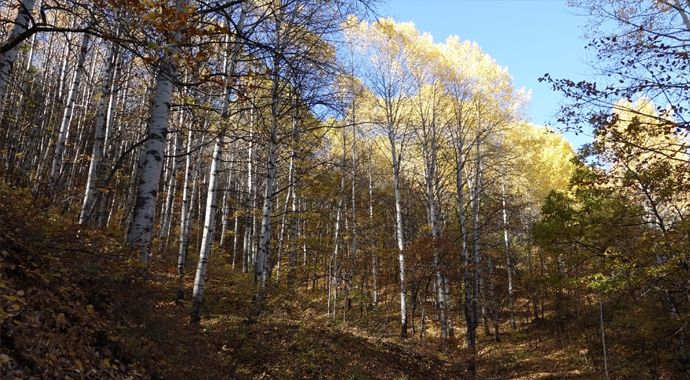 Tunceli’de kar ve sonbaharın görsel şöleni