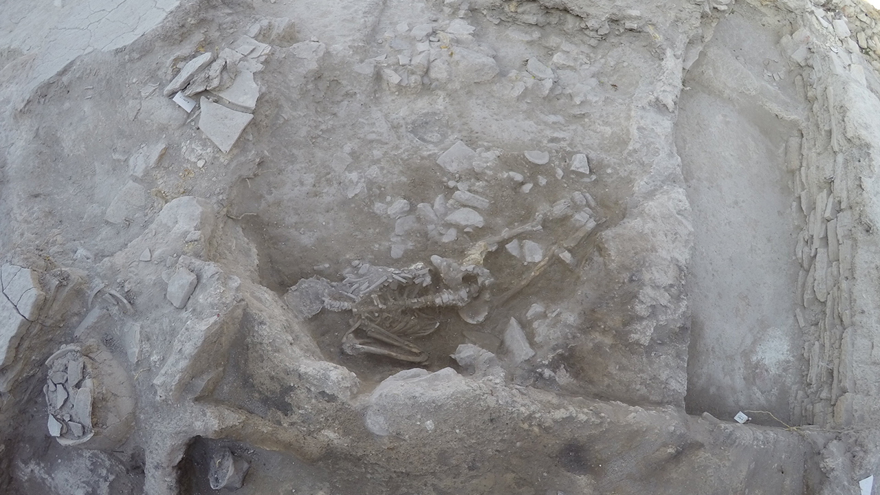 Türkiye’de bulundu: 3 bin 600 yıl önce tsunamide ölen adamın kemikleri çıktı