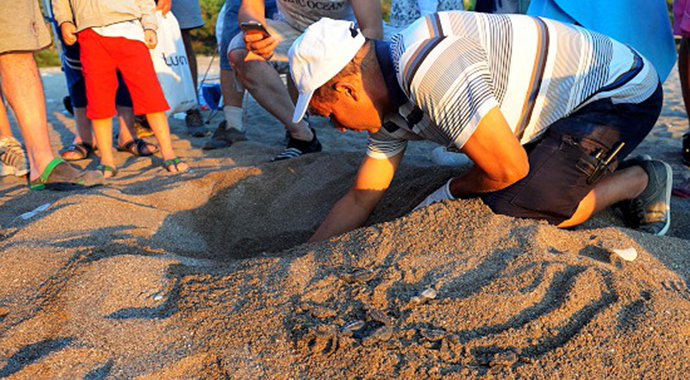 Caretta carettaların koruyucusu: Tosbağacı Mustafa