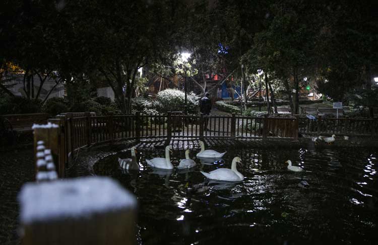 Türkiye beyaza büründü