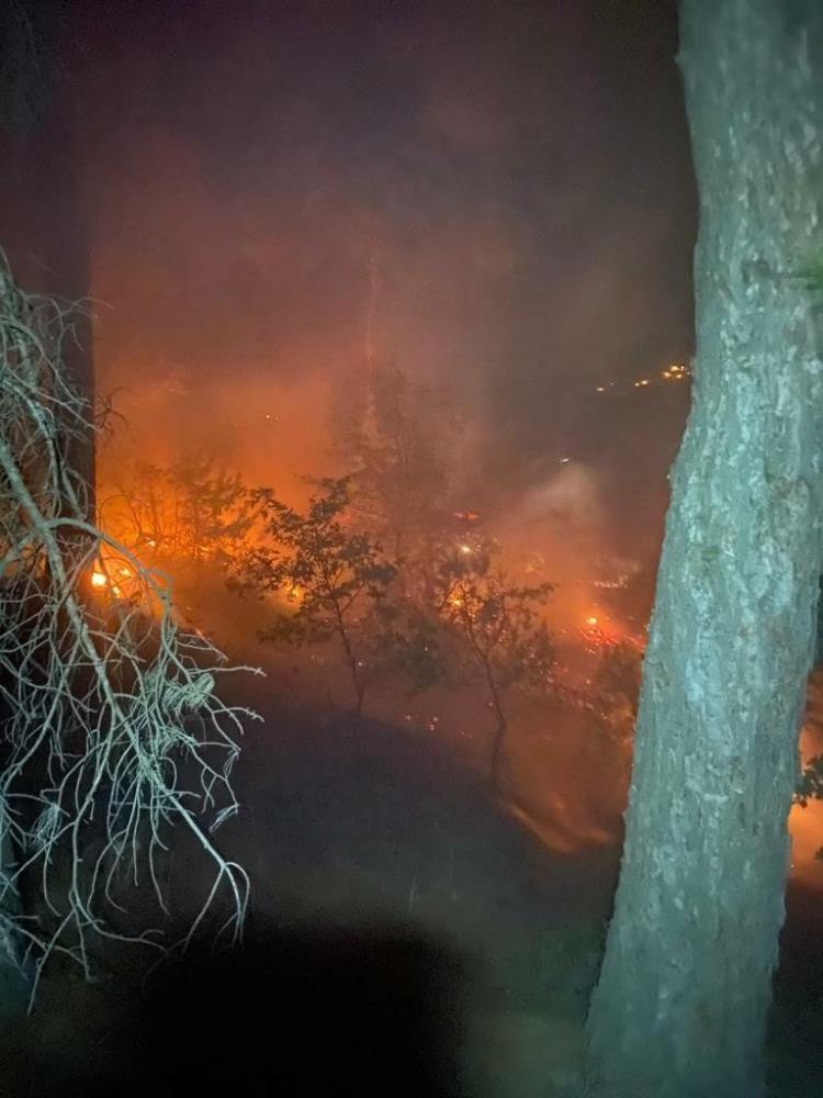 Uşak'ta korkutan yangın! Alevler kontrol altına alındı