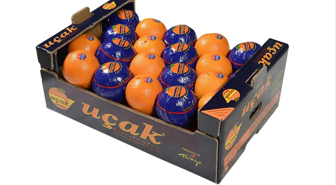 Rusya ile ikinci ''uçak'' krizi Rusya ile ikinci ''uçak'' krizi