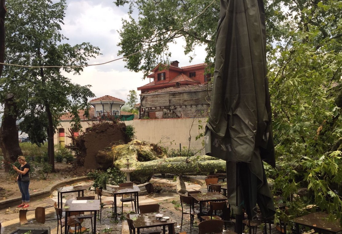 Tarihî çınar fırtınada devrildi