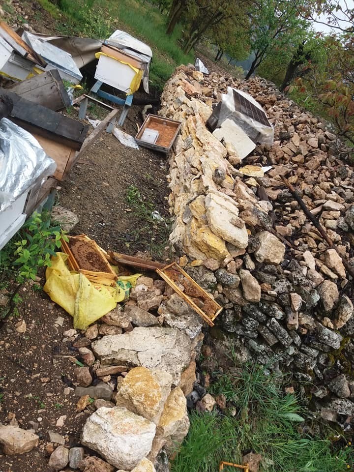 Uludağ'da ayılar bu köye dadandı...Her gün köye gelip kovanları parçalıyor