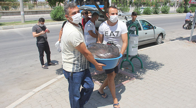 Elektrikler kesildi, kurban etleri bozuldu