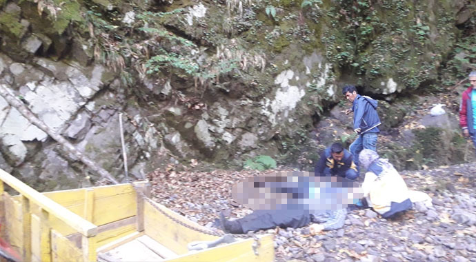 Kestane toplarken uçuruma düşen baba öldü, oğlu ağır yaralı