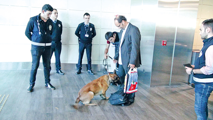 Köpekli işkenceye anladıkları dilden cevap verdik
