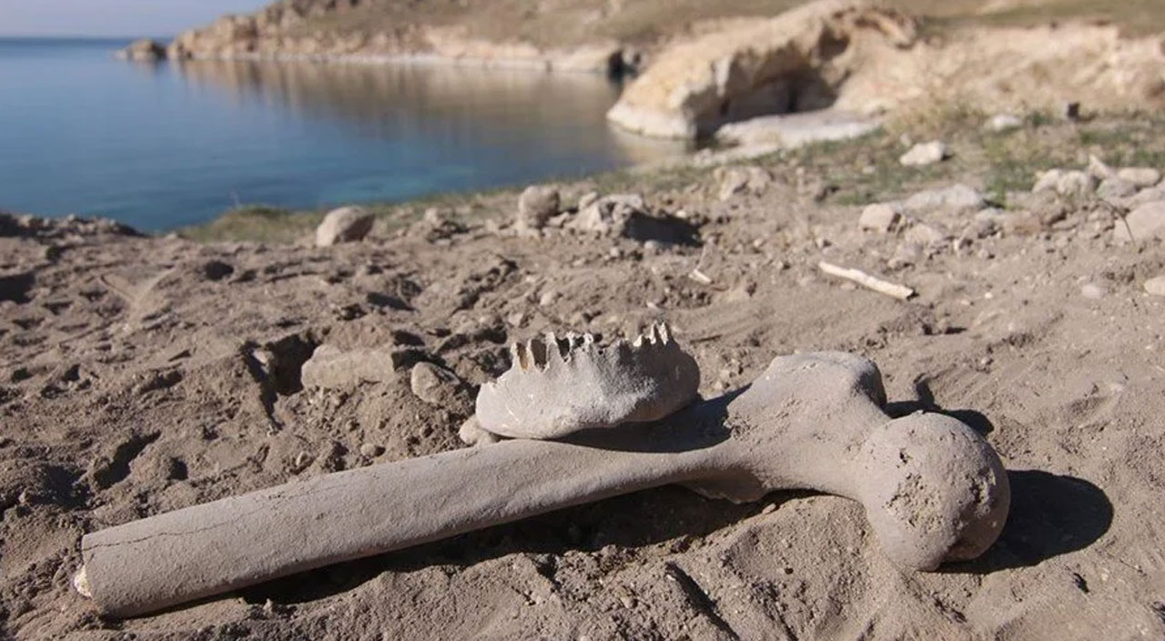 Van Gölü kıyısında Demir Çağı’na ait insan kemikleri bulundu