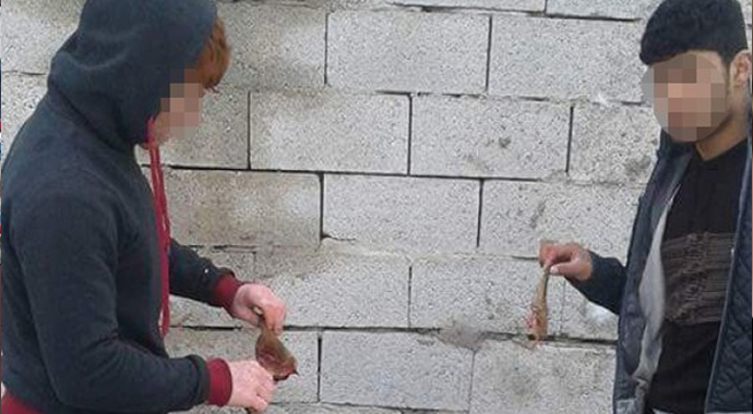 Köpek canilerini bulmak için Melih Gökçek kolları sıvadı