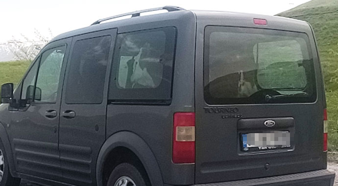 Van'da dana Ferhat'ı anımsatan görüntüler