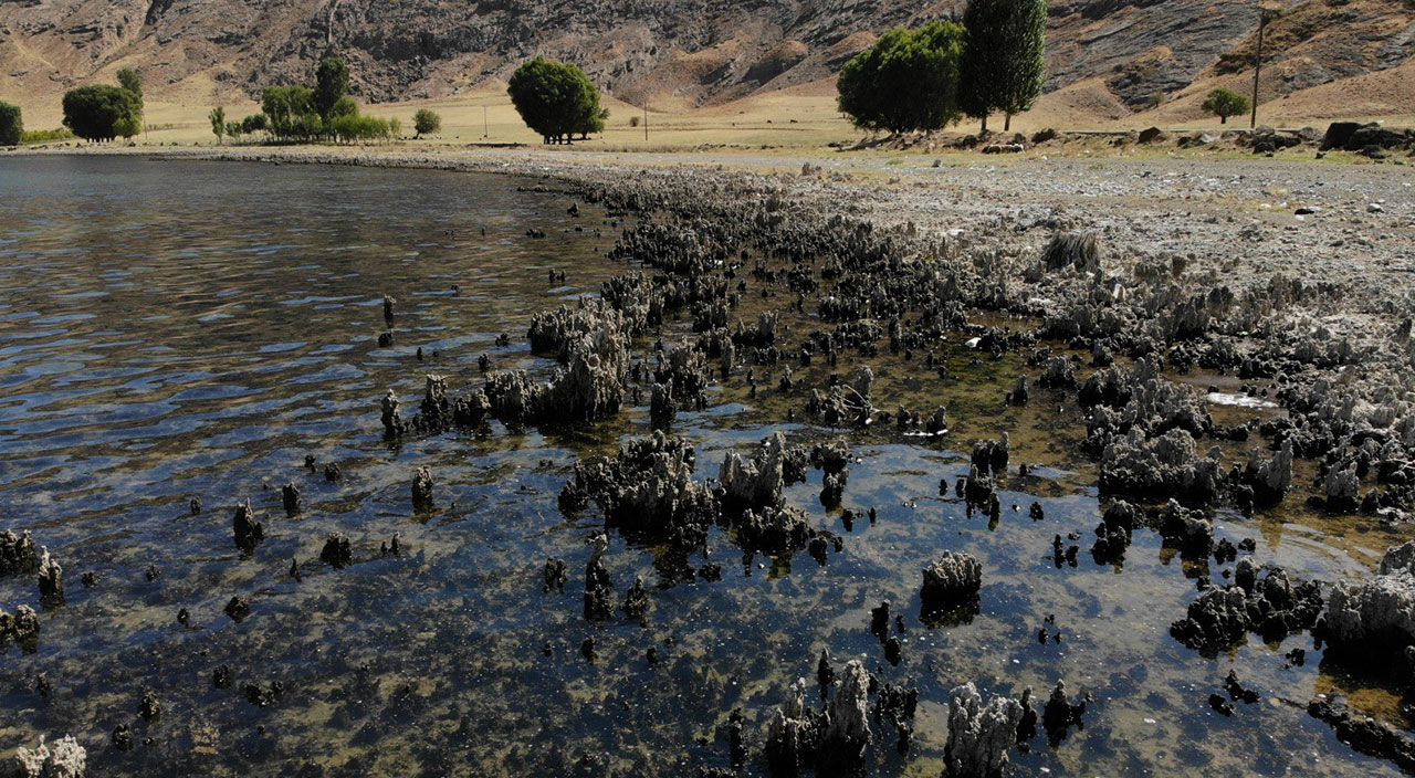 Bölge halkı endişeli! Van Gölü'nde binlerce yıllık mikrobiyalitler ortaya çıktı