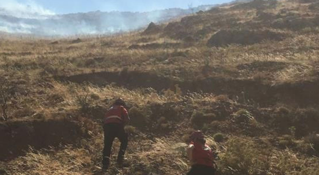 Bodrum’da otluk alanda yangın: 3 hektar alan küle döndü