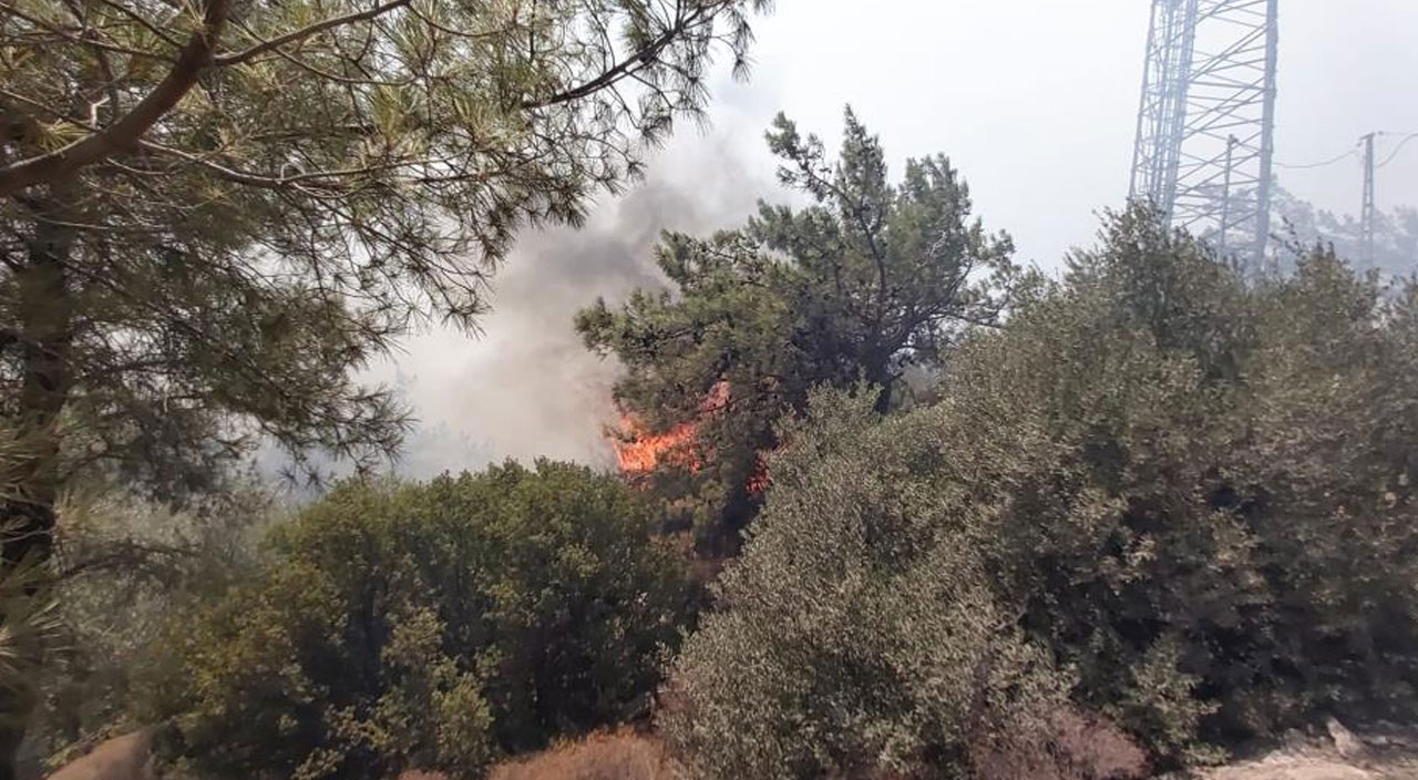 Datça'da orman yangını sürüyor: Çıkış nedeni belli oldu Datça'da orman yangını sürüyor: Çıkış nedeni belli oldu