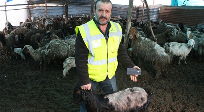 Veterineri şoke eden görüntü!