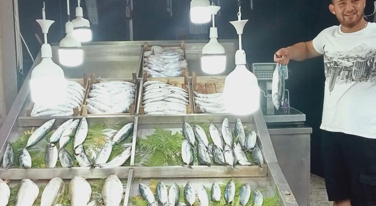 Palamut bolluğu balıkçıların yüzünü güldürdü! Tanesi 30 liradan tezgahlarda