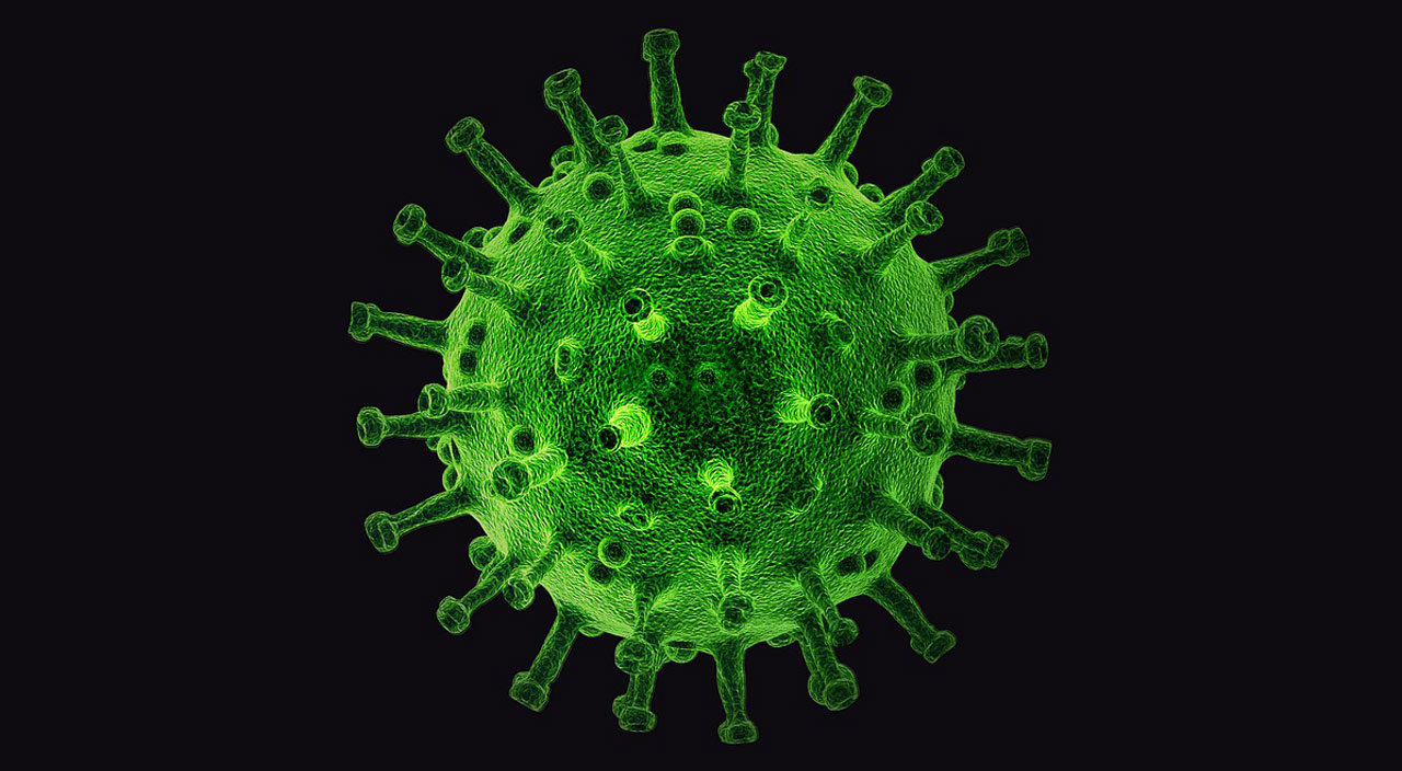 Şaşırtan araştırma: Covid-19 hamsterlardan insanlara bulaşabiliyor