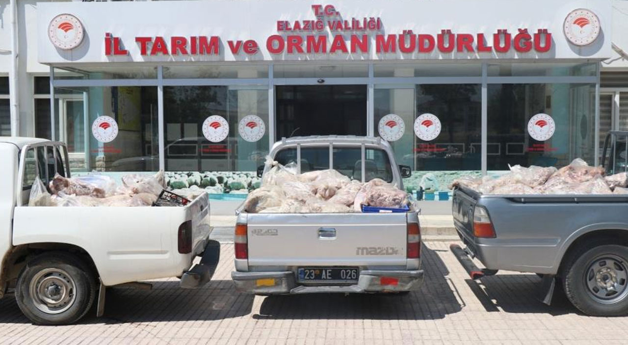 Mahalleyi saran feci koku ekipleri harekete geçirdi! Kaynağı ise şoke etti