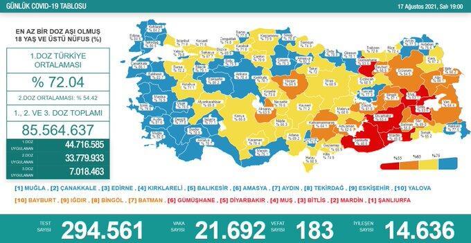 17 ağustos koronavirüs tablosu