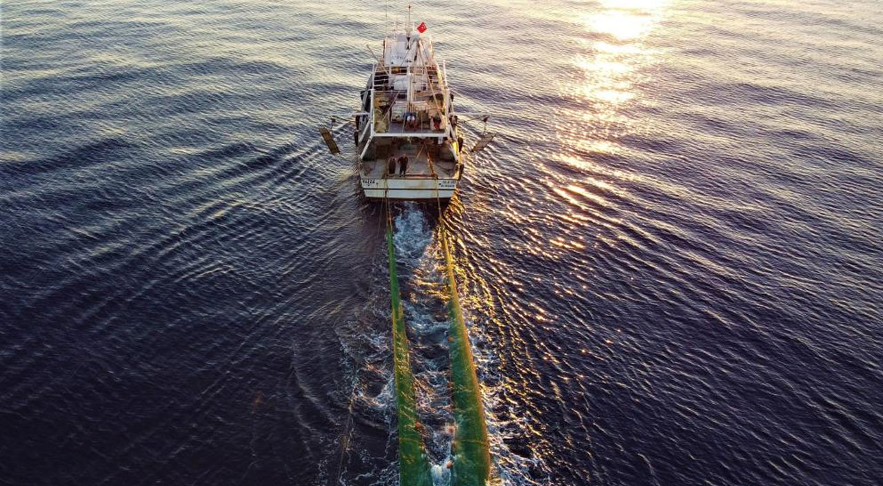 Balığı ucuza alıp pahalıya satıyorlar: Tezgahlar aracıların elinde