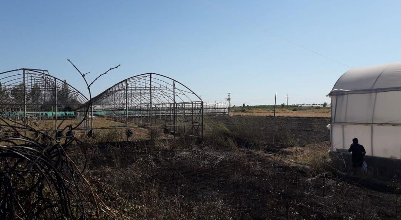 Antalya’da çıkan yangın seralara sıçradı