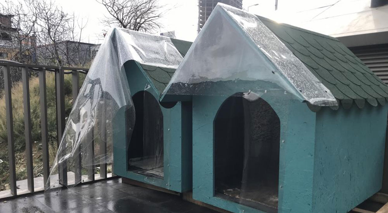 Kadıköy’de lüks sitede ‘samuray kılıçlı’ tehdit: Kimsenin ruhu duymaz