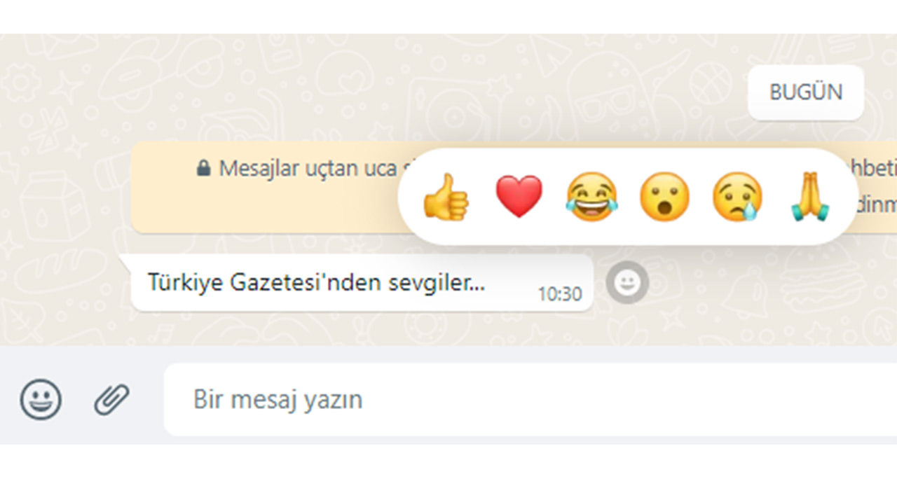 WhatsApp yeni özelliğini Türkiye'de başlattı