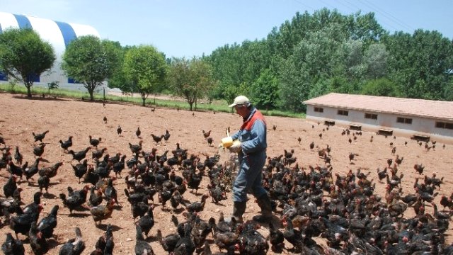 Korkudan başladığı işle patron oldu