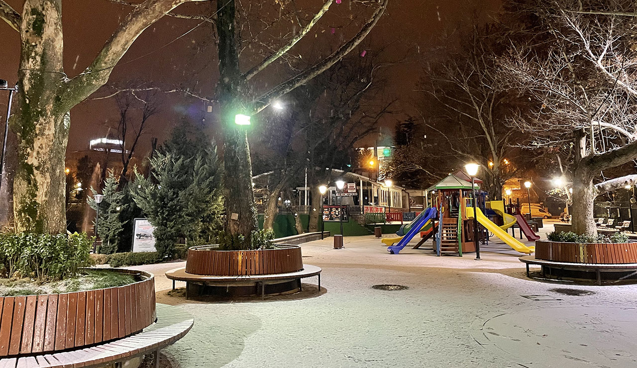 Ankara'da sıcaklık eksi 5'e düştü: Kuğulu Park buz tuttu