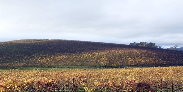 Windows XP’nin meşhur manzarasının yeni halini görenler şaşırıyor