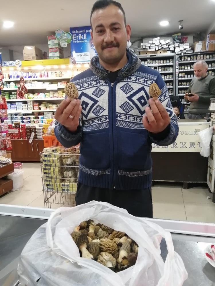 Toplamak için 20 km yol yürüyorlar, kilogramını 300 liradan satılıyor