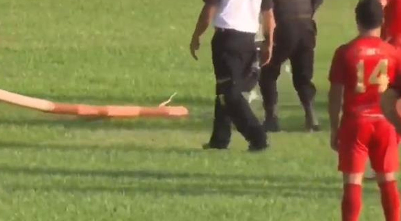 2 metrelik yılan sahaya girdi! Futbolcular kaçacak yer aradı