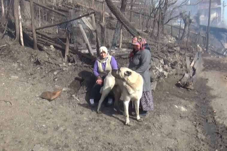 Kahraman kangal, köylülerin hayatını kurtardı