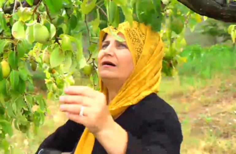 Yemekteyiz Yarışmacıları Kimdir? Seda Sayan ile Yemekteyiz Yarışmacıları Kimdir? | Seda Sayan kaç yaşında? (19-23 Ağustos Haftası)