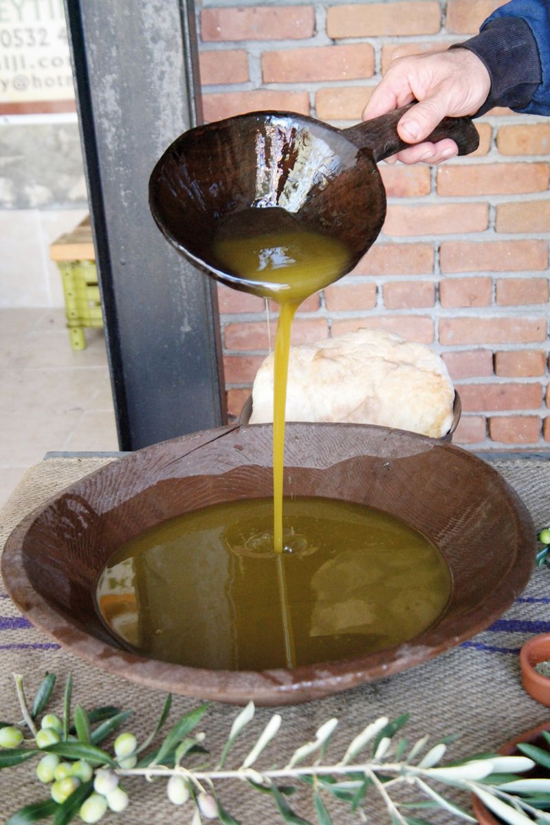 Zeytinyağının tasir torbacısı