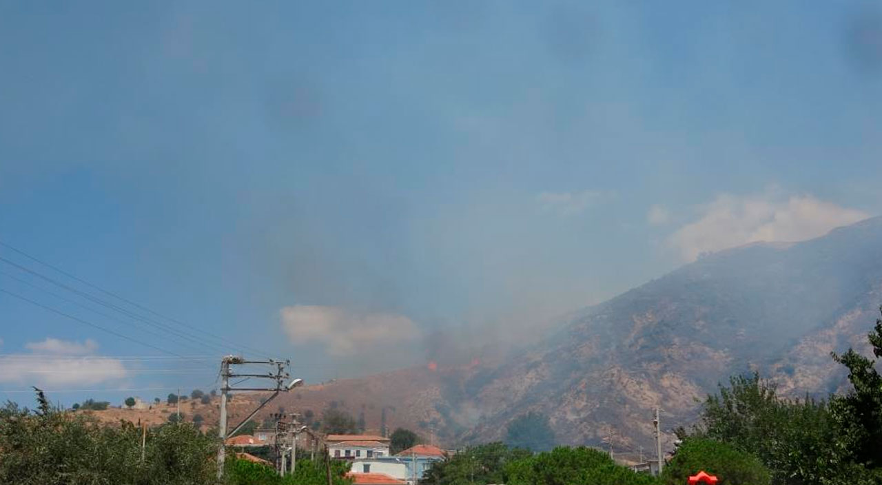 Ayvacık’ta orman yangını