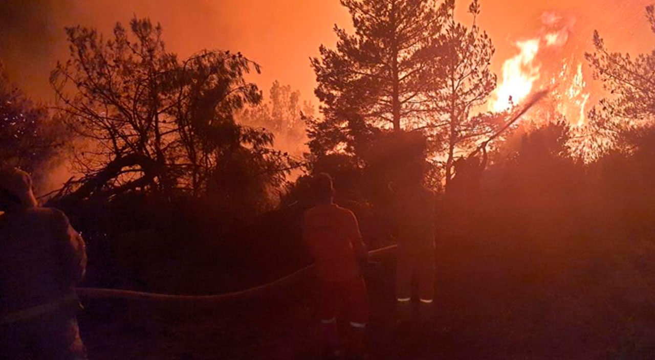 Manisa'da orman yangını: 12 saat sonra kontrol altına alındı
