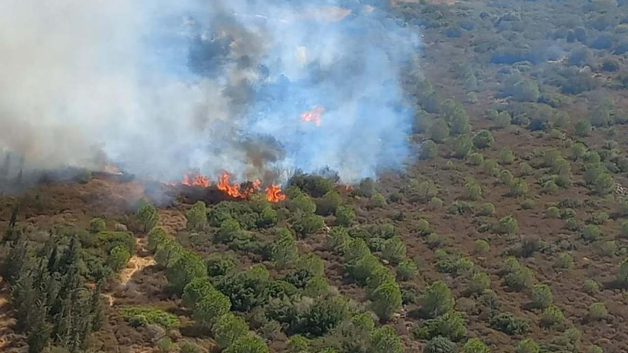 İzmir'de makilik alanda yangın