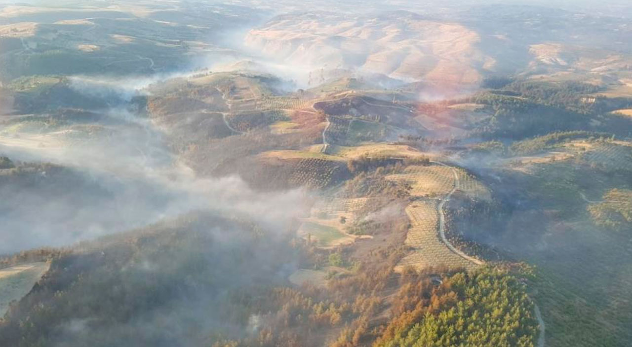 Manisa'daki orman yangını kontrol altına alındı. Gece görüşlü helikopterler devreye girdi