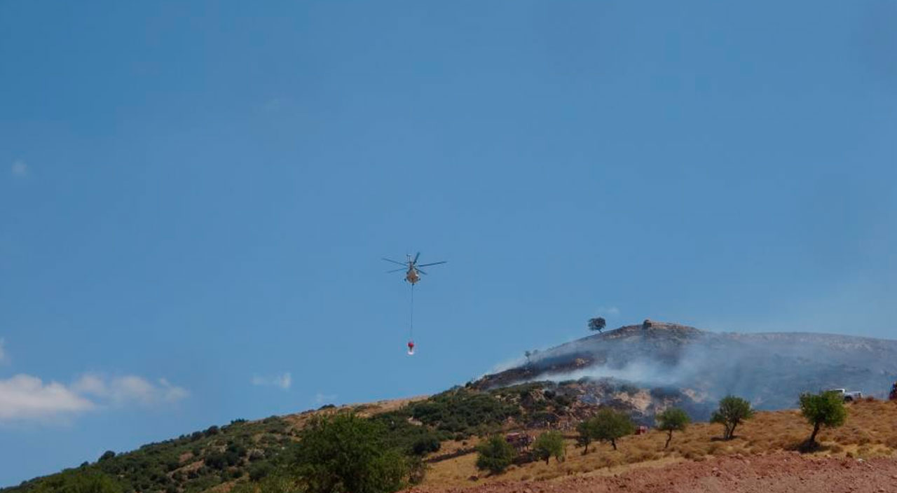 Ayvacık’ta orman yangını